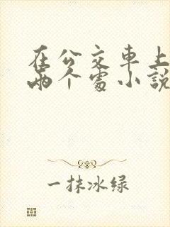在公交车上破了两个处小说