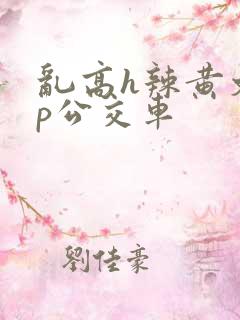 乱高h辣黄文np公交车
