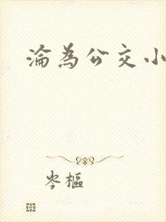 沦为公交小说