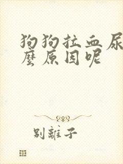 狗狗拉血尿是什么原因呢