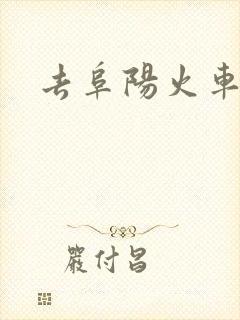 去阜阳火车站
