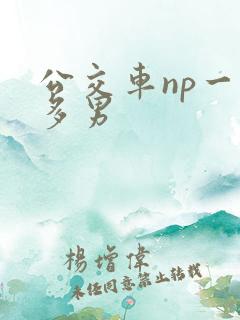 公交车np一女多男