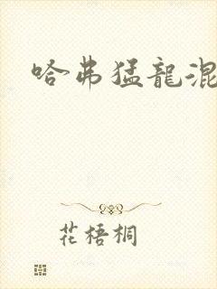 哈弗猛龙混动
