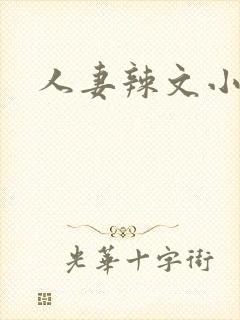 人妻辣文小说网