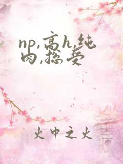 np,高h,纯肉,总受 np,高h,纯肉,总受