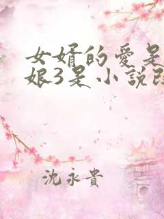 女婿的爱是丈母娘3是小说改编吗