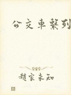 公交车系列嗨文
