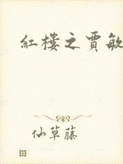 红楼之贾敏传