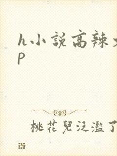 h小说高辣文np