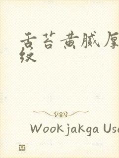 舌苔黄腻厚有裂纹