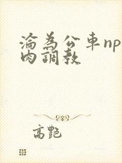沦为公车np纯肉调教