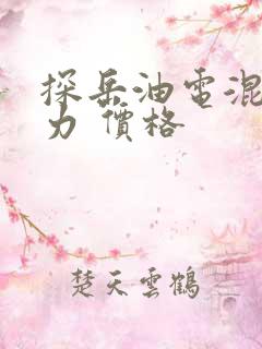 探岳油电混合动力 价格