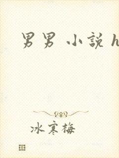 男男 小说 h