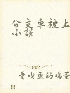 公交车被上高潮小说