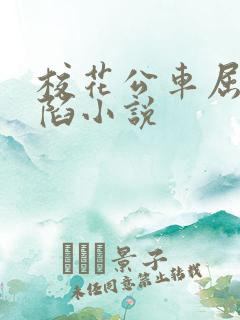 校花公车屈辱沦陷小说