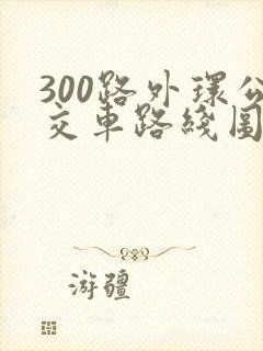 300路外环公交车路线图