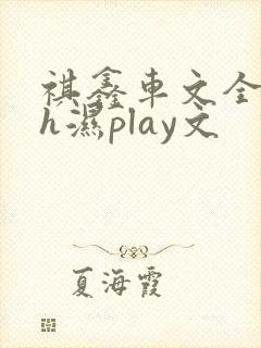 祺鑫车文全肉高h湿play文