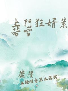 上门狂婿叶凡唐若雪