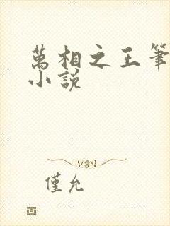 万相之王笔趣阁小说