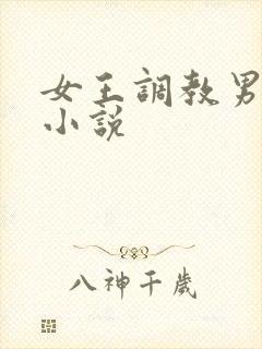 女王调教男奴的小说