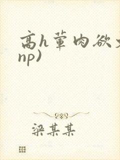 高h荤肉欲文(np)