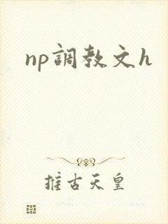np调教文h np调教文h