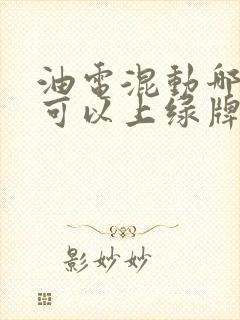 油电混动哪些车可以上绿牌