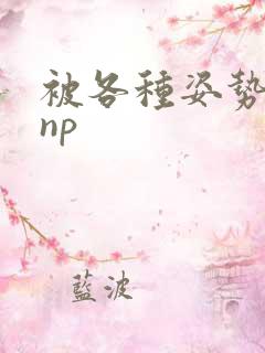 被各种姿势玩弄np