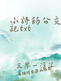 小诗的公交车日记txt
