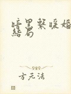 暗黑系暖婚最后结局