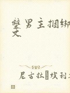 双男主捆绑调教文