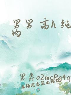 男男 高h 纯肉