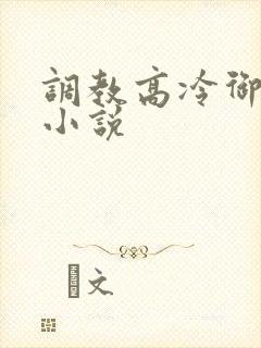 调教高冷御姐h小说