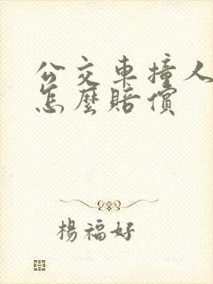 公交车撞人全责怎么赔偿