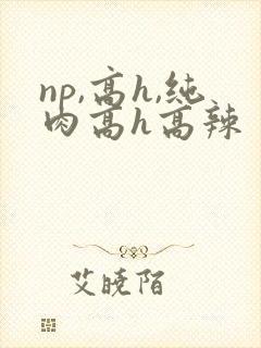 np,高h,纯肉高h高辣
