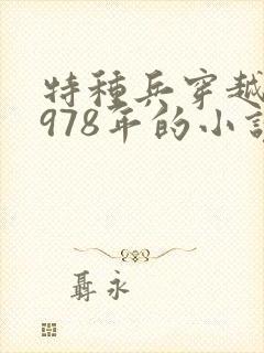 特种兵穿越回1978年的小说 特种兵穿越回1978年的小说