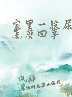 家里一股尿骚味怎么回事