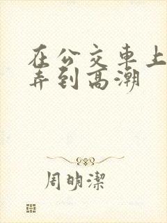 在公交车上被人弄到高潮