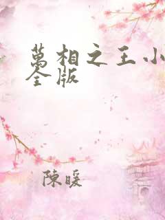 万相之王小说完全版
