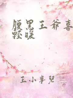腹黑王爷喜当爹轻暖