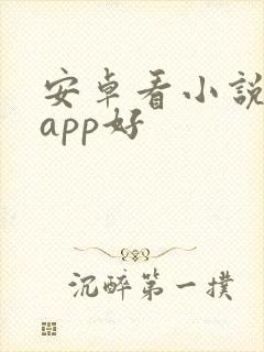 安卓看小说哪个app好