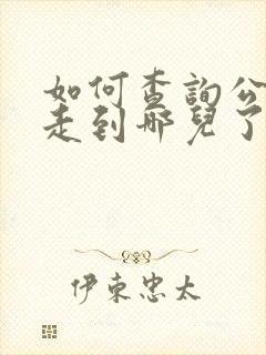 如何查询公交车走到哪儿了