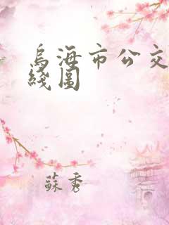 乌海市公交车路线图