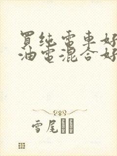 买纯电车好还是油电混合好