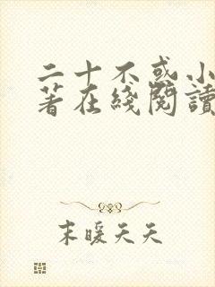 二十不惑小说原著在线阅读