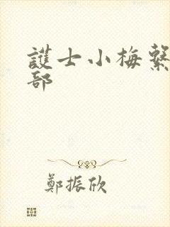 护士小梅系列全部