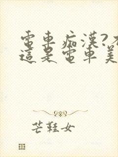 电车痴汉?不,这是电车美妇