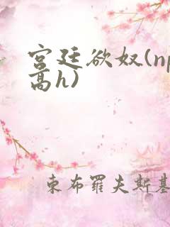 宫廷欲奴(np高h)