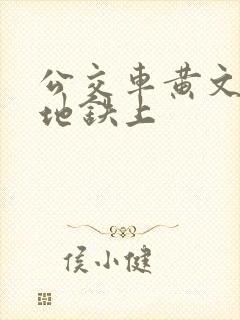 公交车黄文小说地铁上
