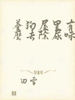养狗屋里有味怎么去除尿味